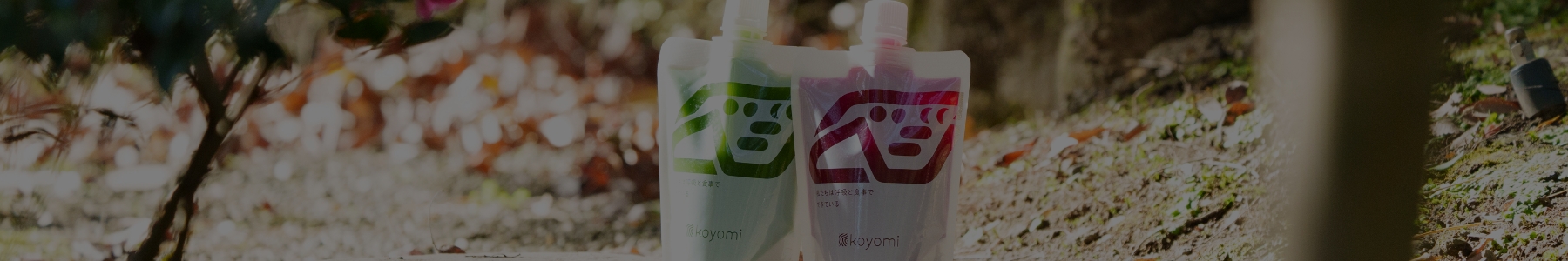ページヘッダー: BLOG